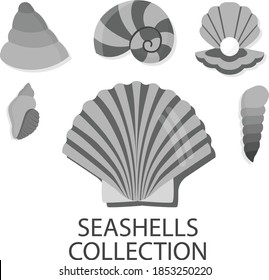 Sheasells illustrator design vector with monochrome