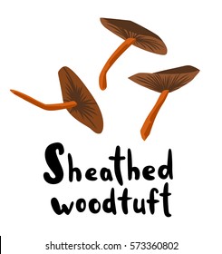 Sheathed Woodtuft Wild Mushrooms with Typography