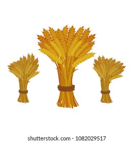 Sheaves of wheat on white background. Cartoon style.