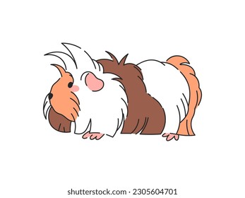 Sheba Guinea-Pig Cartoon Vektorgrafik. Einzeln Symbol auf weißem Hintergrund.