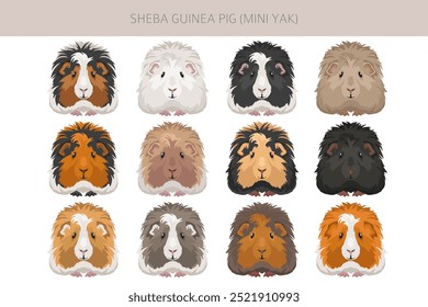 Clipart de porcos da Guiné Sheba. "Sheba Mini Yak". Todas as cores do casaco cavies conjunto. Pequenos roedores de estimação. Ilustração vetorial