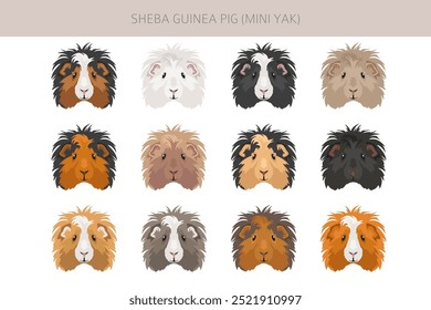 Clipart de porcos da Guiné Sheba. "Sheba Mini Yak". Todas as cores do casaco cavies conjunto. Pequenos roedores de estimação. Ilustração vetorial