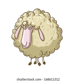 Sheep