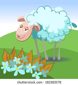 Sheep