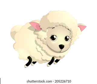 sheep