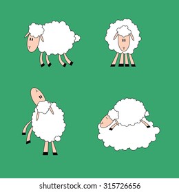 Sheep