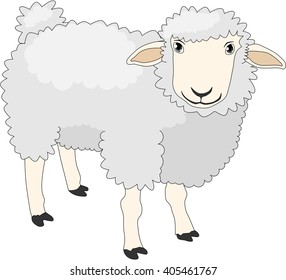 Sheep