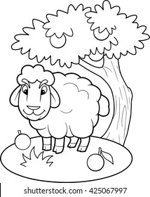 sheep