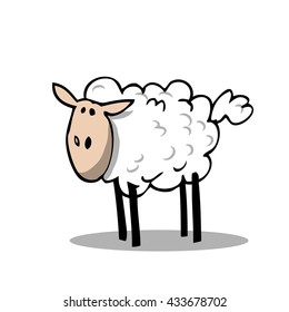 Sheep