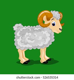 sheep