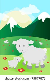 Sheep