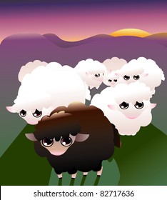 Sheep