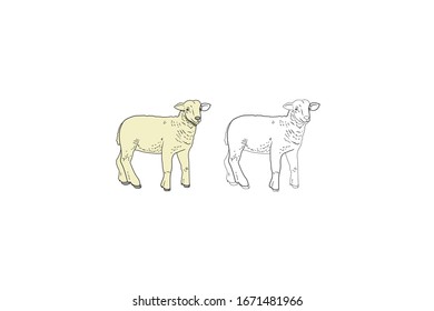 Sheep  Animal Cartoon Vector Illustration Bundle