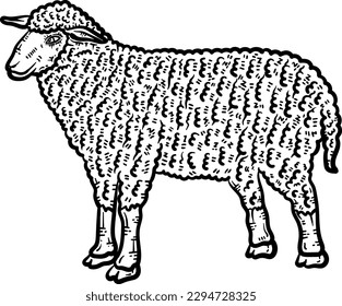 Sheep Animal Coloring Page for Adults