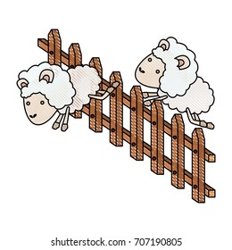 sheep animal couple jumping a wooden fence in color crayon silhouette on white background vector illustration