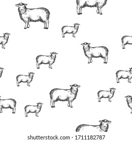Sheep animal seamless pattern background sketch engraving vector illustration. T-shirt apparel print design. Scratch board imitation. Black and white hand drawn image.