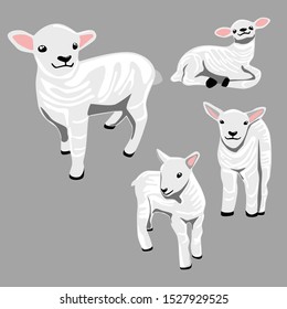 sheep baby graphic for Illustration and drawing material
