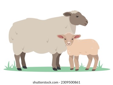 Schafe und Lamm. Familie der Schafe. Landwirtschaftliche Tiersymbole. Wolle- und Fleischproduktion. Vektorgrafik oder Cartoon-Illustration einzeln auf weißem Hintergrund.