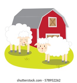 sheep in the barn vector illustration