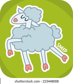 sheep beauty