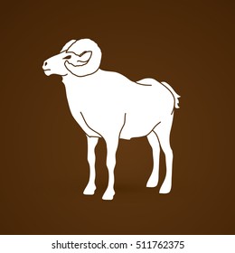 Sheep with big horn standing graphic vector.