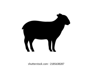 Sheep black silhouette. Sheep symbol. Ram silhouette. Farm animal icon isolated on white background.
