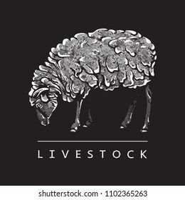 Sheep - black and white vector illustration. Cute farm animal image in profile in engraving style, isolated on black background. Portrait side view, graphic design element for logo or template.