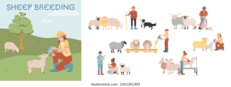 Sheep breeding farm flat composition set with farmers looking after animals isolated vector illustration