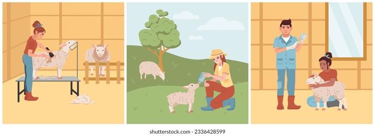 Sheep breeding flat set with farmers shearing feeding and giving treatment to animals isolated vector illustration