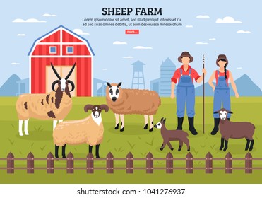 Sheep breeding husbandry with barn and farmers couple among  grazing lambs ewe ram flat poster vector illustration 