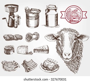 sheep breeding. set of sketches made by hand