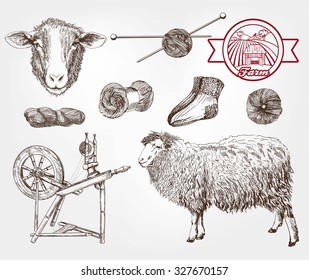 sheep breeding. set of sketches made by hand