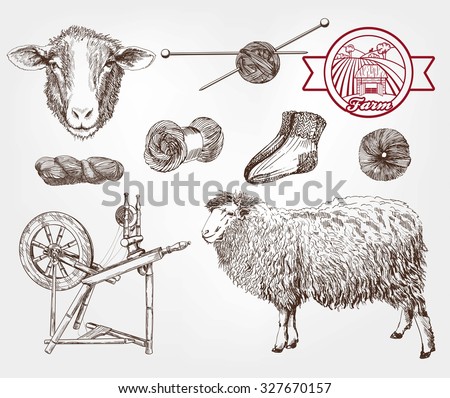sheep breeding. set of sketches made by hand
