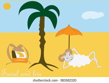 Sheep by the sea