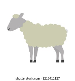 sheep cartoon animal wild life