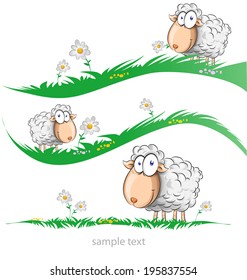 sheep cartoon set on meadow isolated