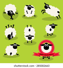 Sheep character collection,illustration design