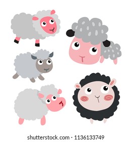 sheep character vector design