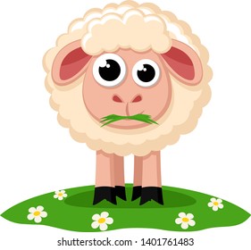 Sheep chewing grass on a green meadow, on a white background. Animal