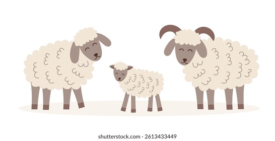 Sheep cliparts isolated on white background. Farming, animals, livestock concept. Vector flat illustration of sheep family.