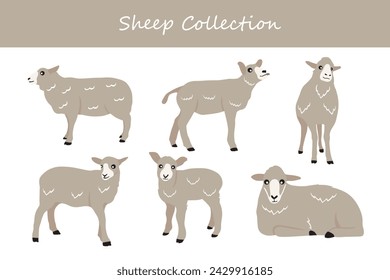 Sheep collection. Cute cartoon sheep. Vector illustration isolated on white background. svg