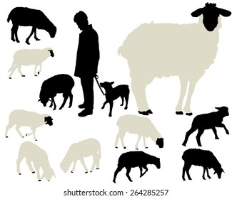 sheep collection vector silhouettes