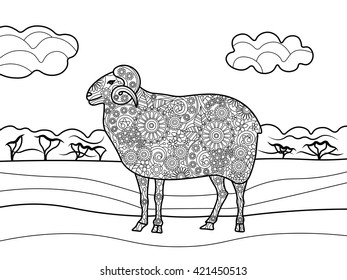 Sheep coloring book for adults vector illustration. 