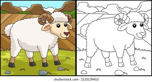 Sheep Coloring Page Colored Illustration