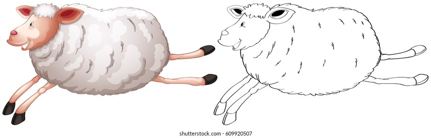 Sheep in colour and outline