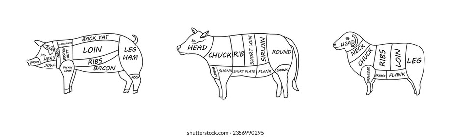 A sheep a cow and a pig divided into pieces with the name of their body parts for the butchers. A guide for meat buyers. Vectok stock illustration. isolated. hand drawn. Lamb, beef, pork. set