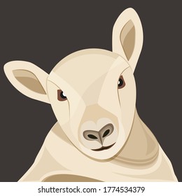 Sheep design greeting card for eid adha mubarak - Vector illustration 
