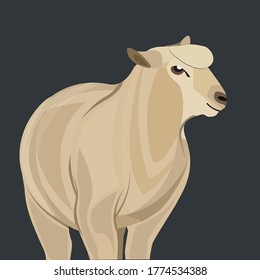 Tarjeta de saludo de diseño de oveja para eid adha mubarak - Ilustración vectorial 