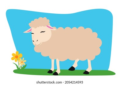 Sheep design in meadow| Vector illustration isolated on white background