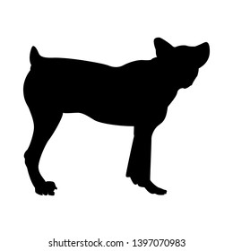 Sheep Dog Silhouette. Smooth Vector Illustration.